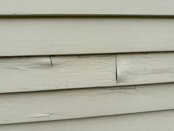 Best Storm Damage Siding Repair  in Benton, AR